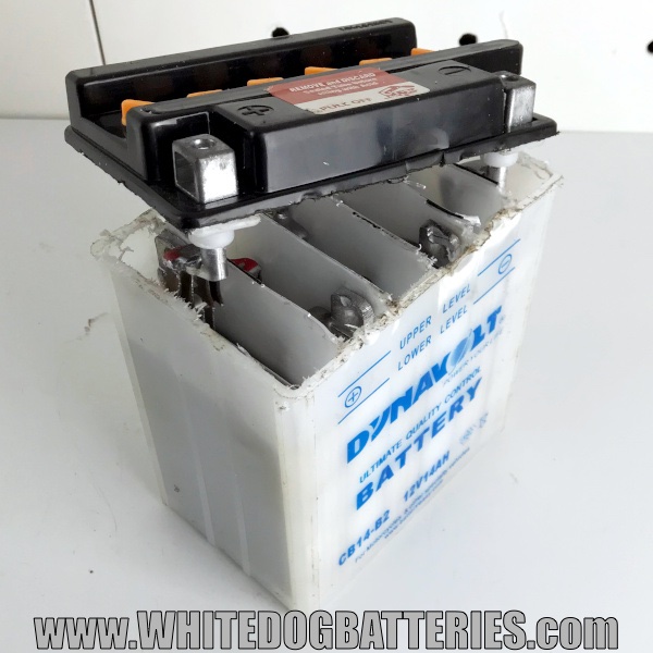 Inside a 12 Volt Lead Acid Motorbike Battery